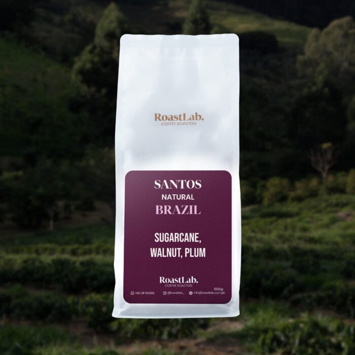 Brazil Santos - Image 4