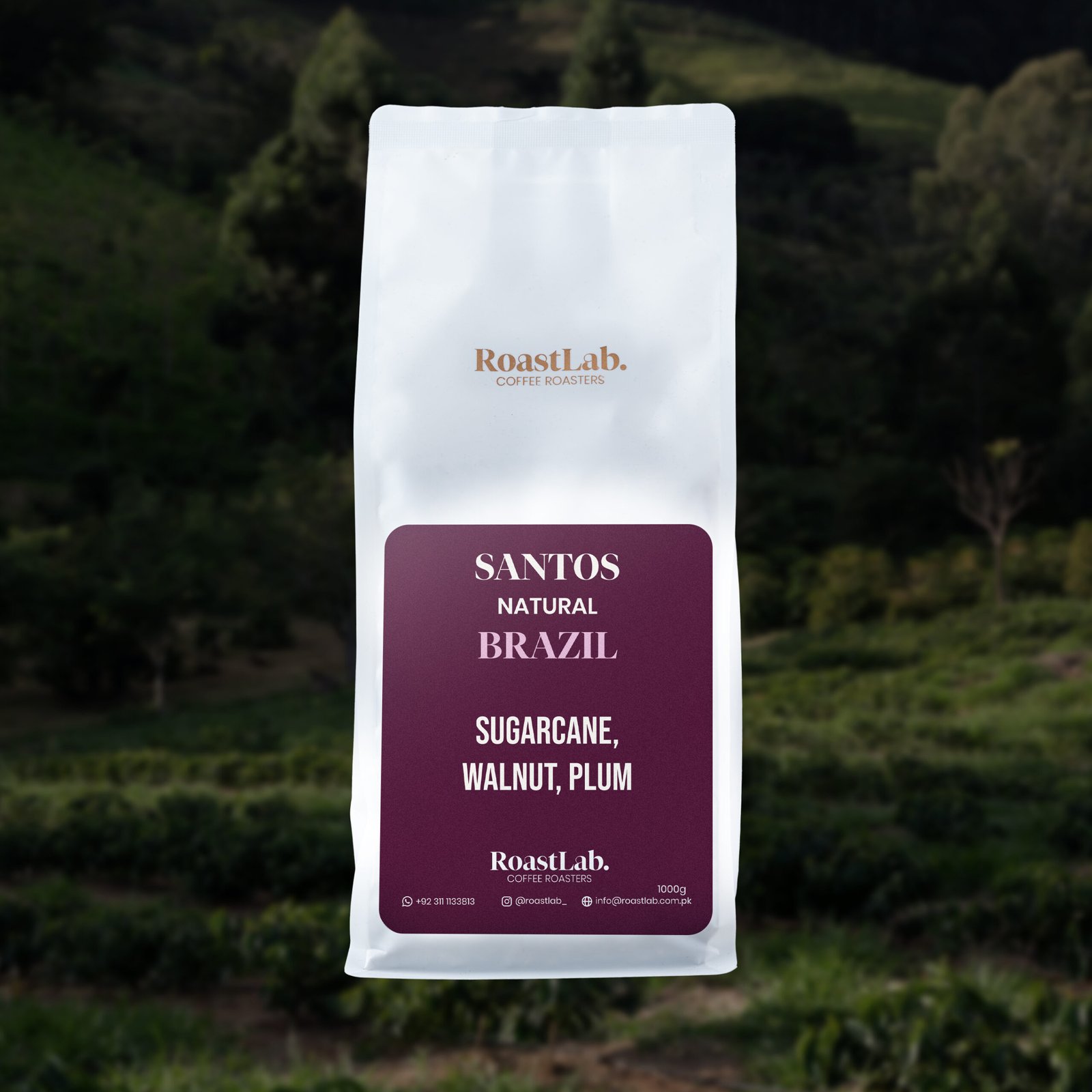 Brazil Santos - Image 4