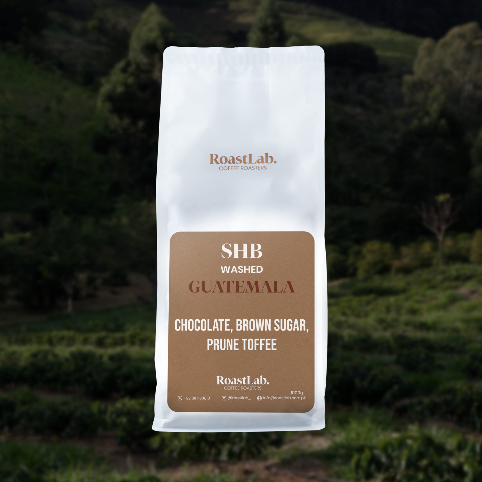 Guatemala AA SHB – Speciality - Image 4