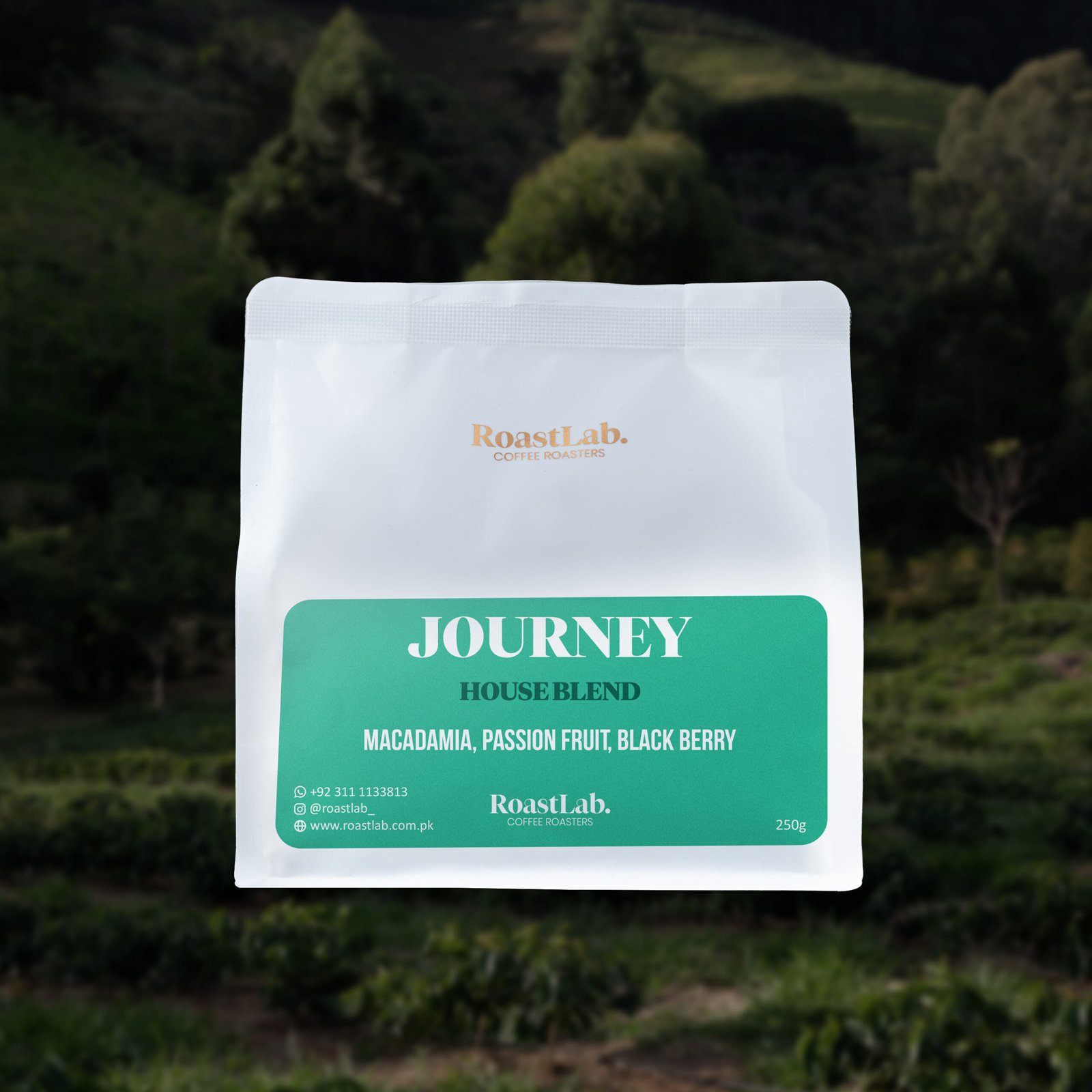 Journey House Blend - Image 3