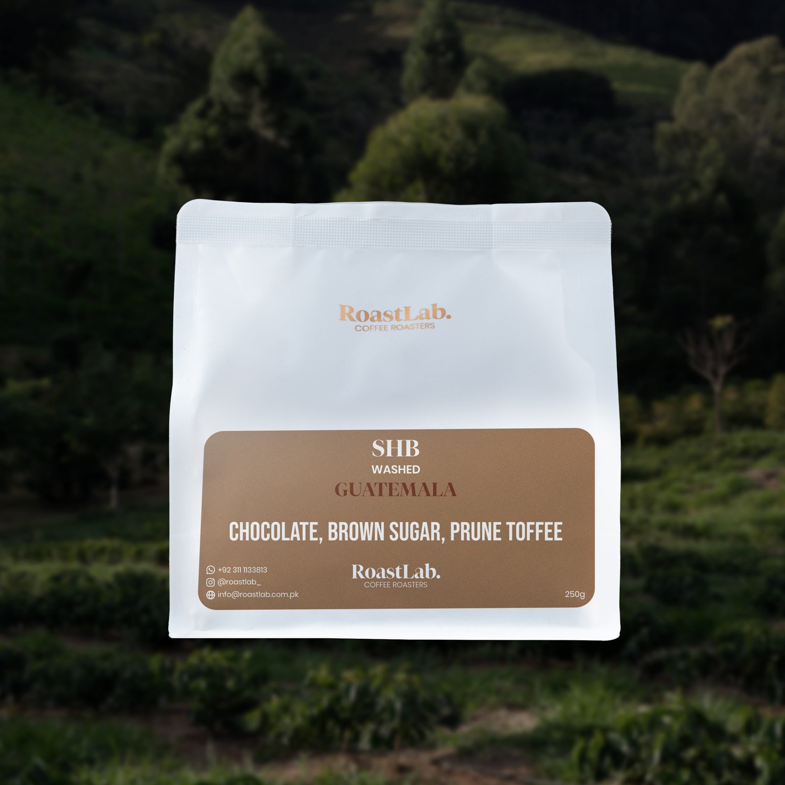 Guatemala AA SHB – Speciality - Image 2
