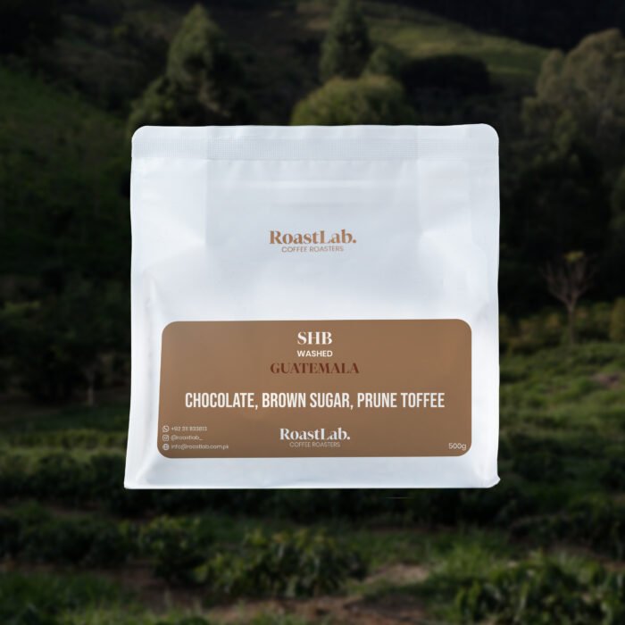 Guatemala AA SHB – Speciality