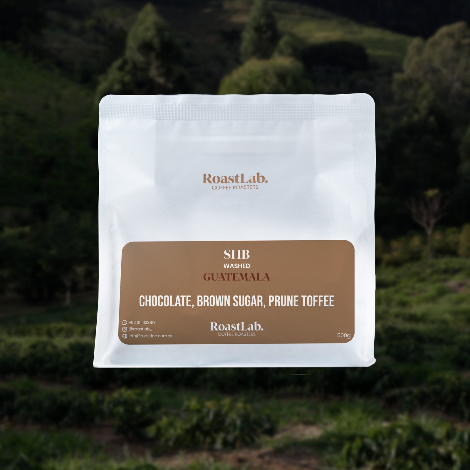 Guatemala AA SHB – Speciality