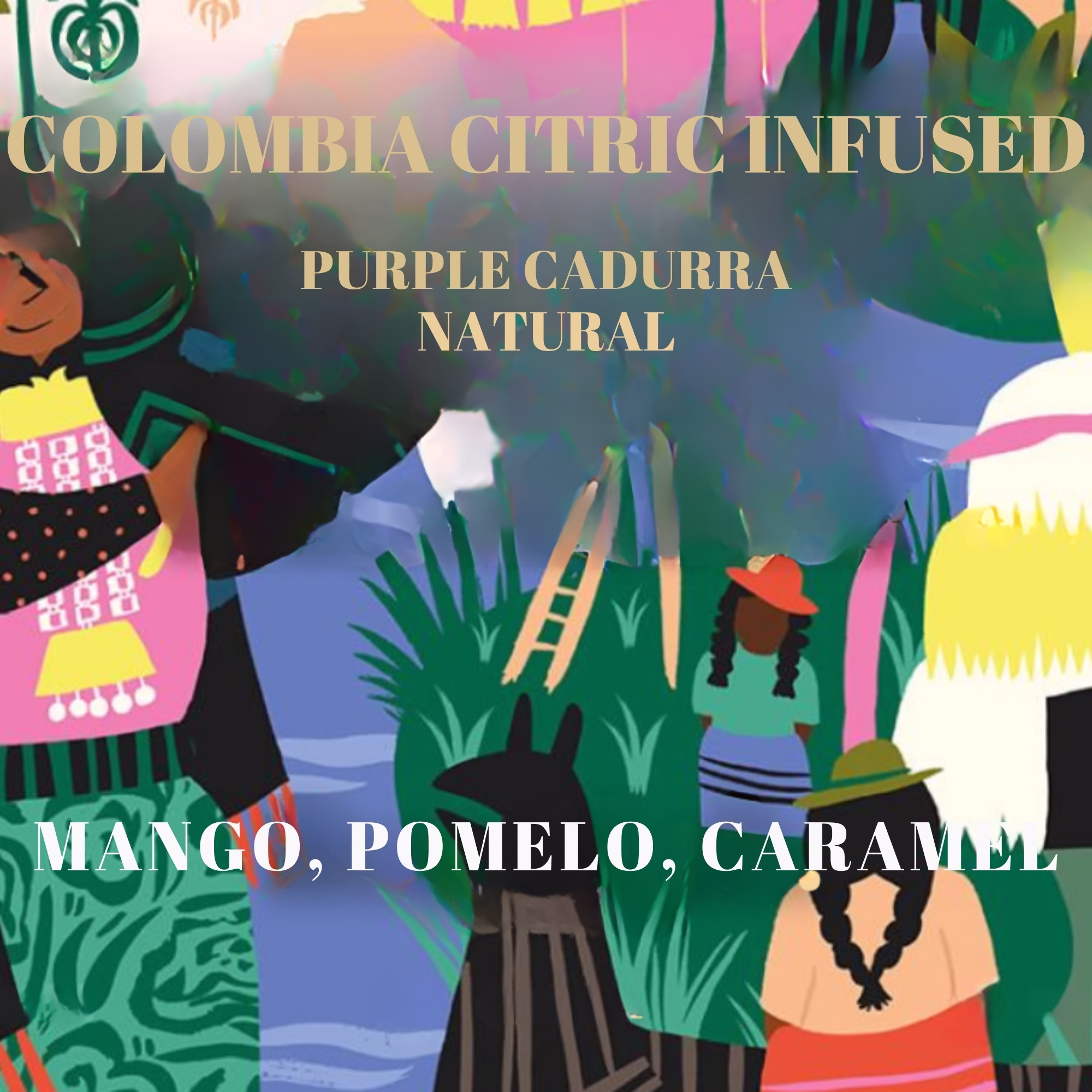 Colombia Citric Infused