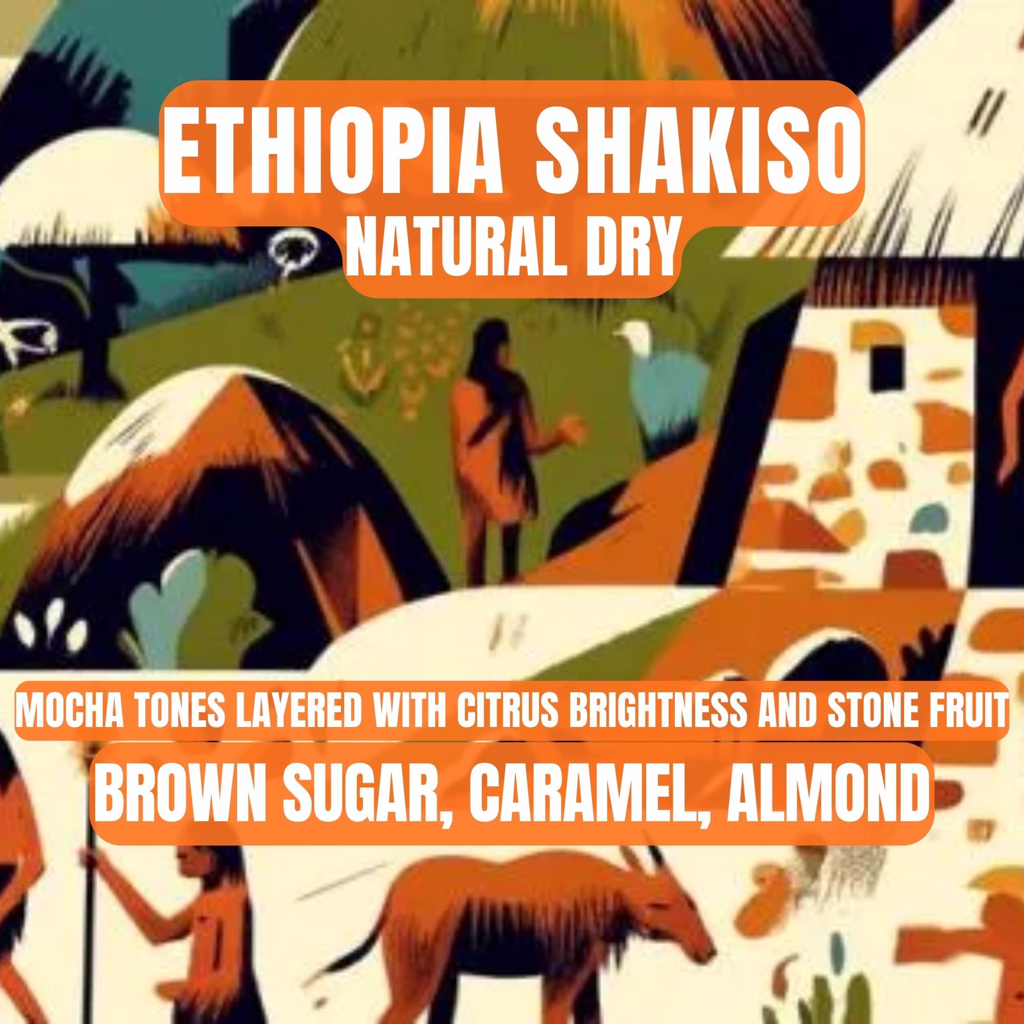Ethiopia Shakiso