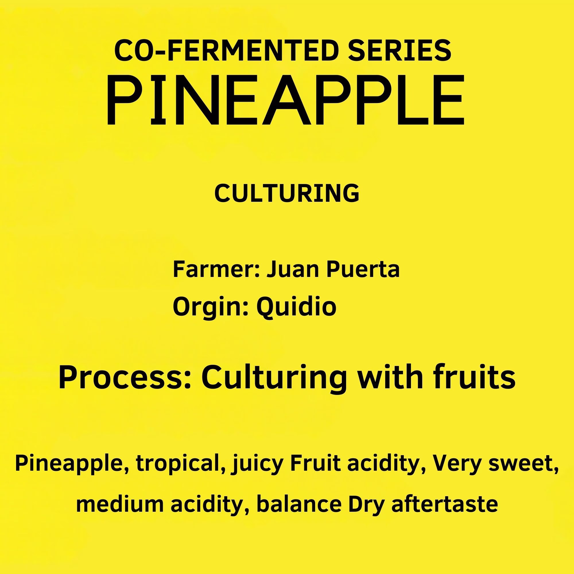 Colombia Pineapple Co-Fermented – Juan Puerta | Co-Fermented Series
