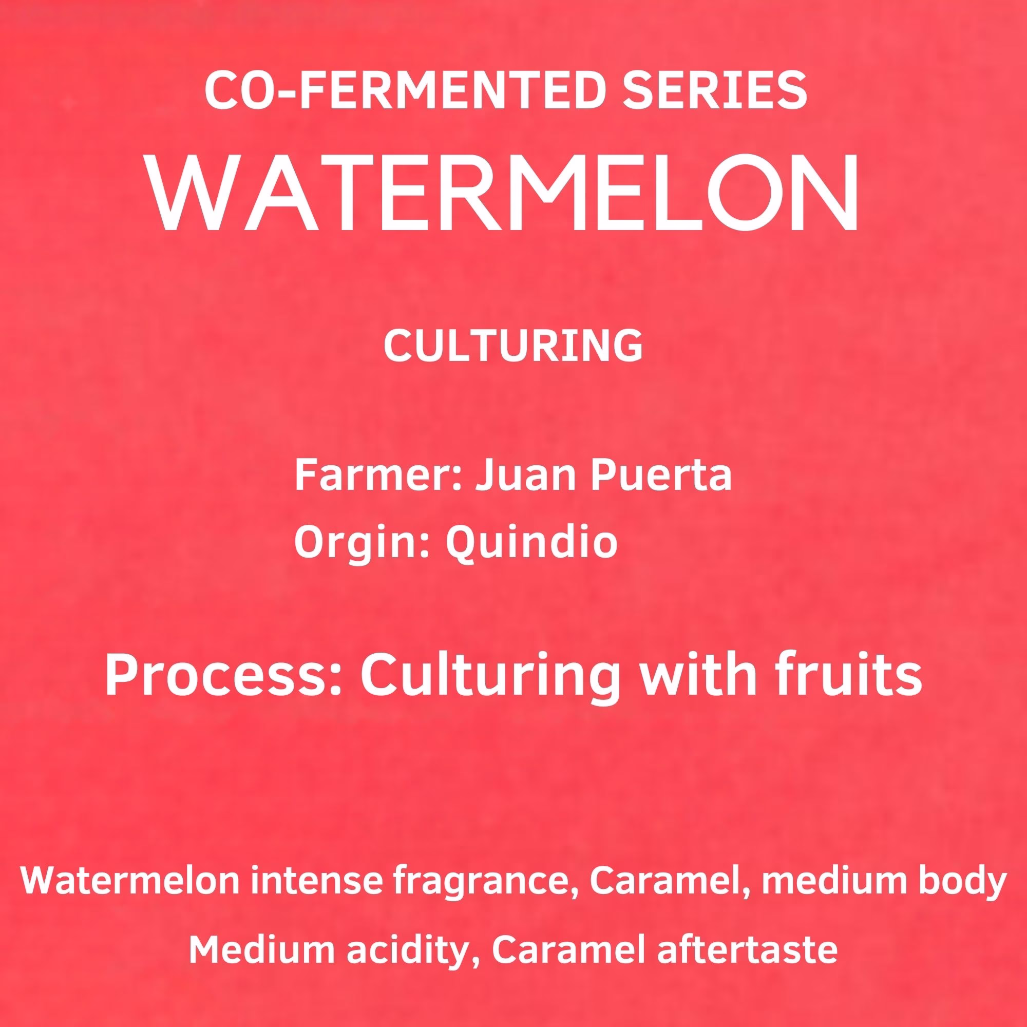 Colombia Watermelon Co-Fermented – Juan Puerta | Co-Fermented Series