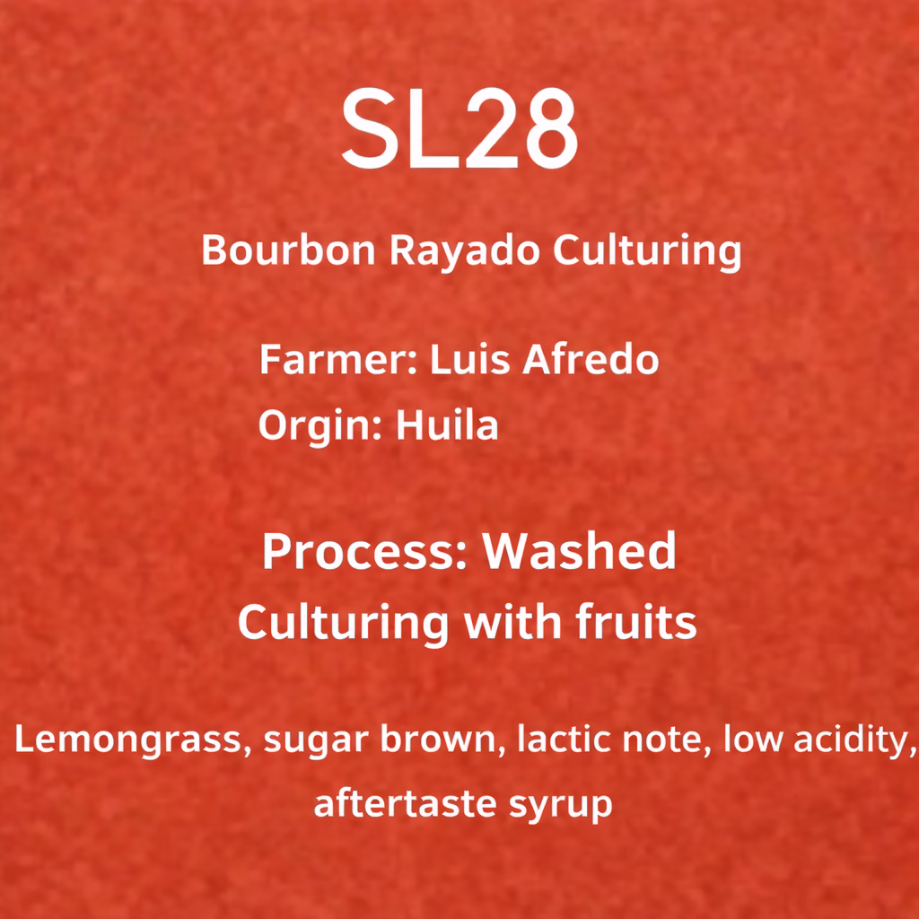 SL28 – Culturing with Fruits (Washed)