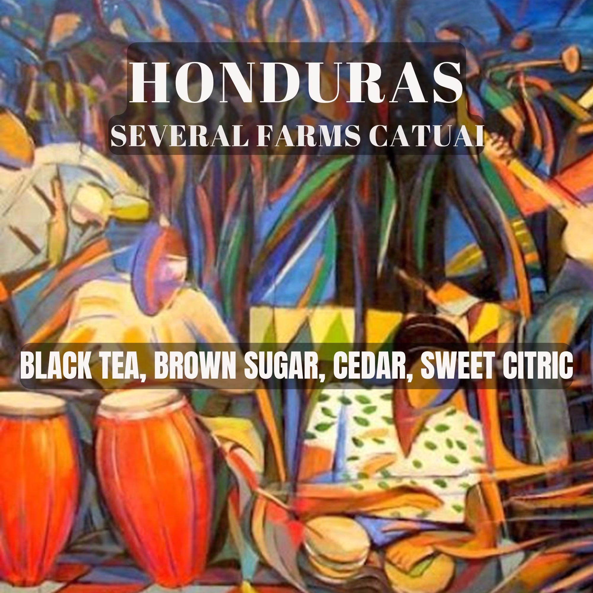 Honduras Several Farms Catuai