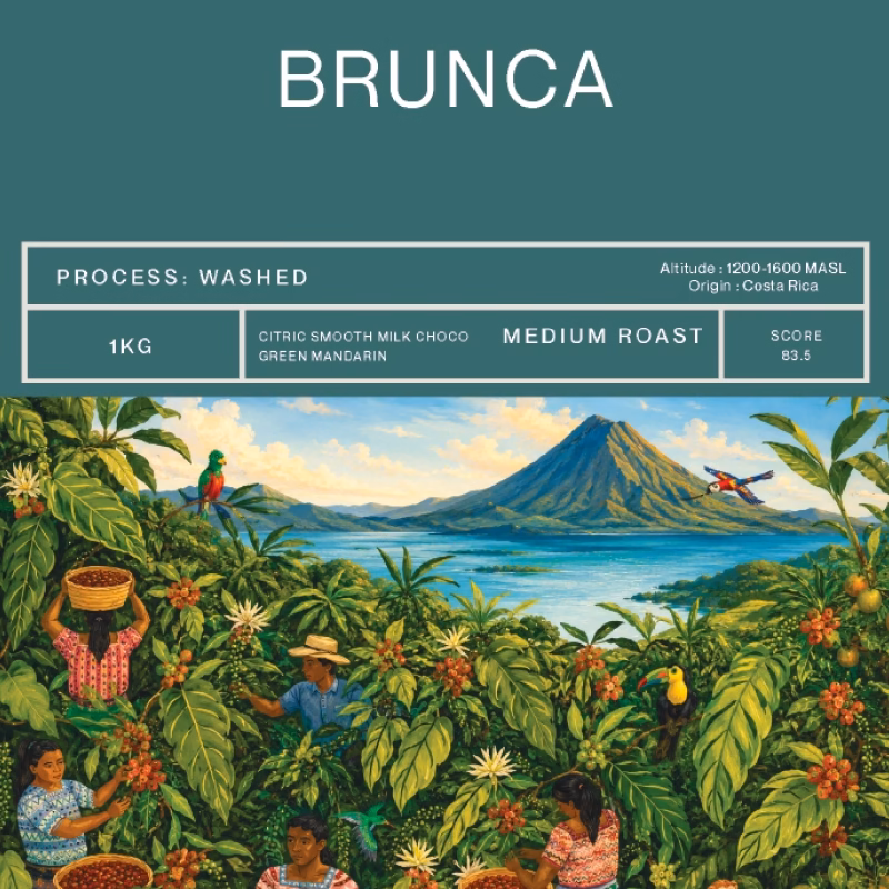 Brunca