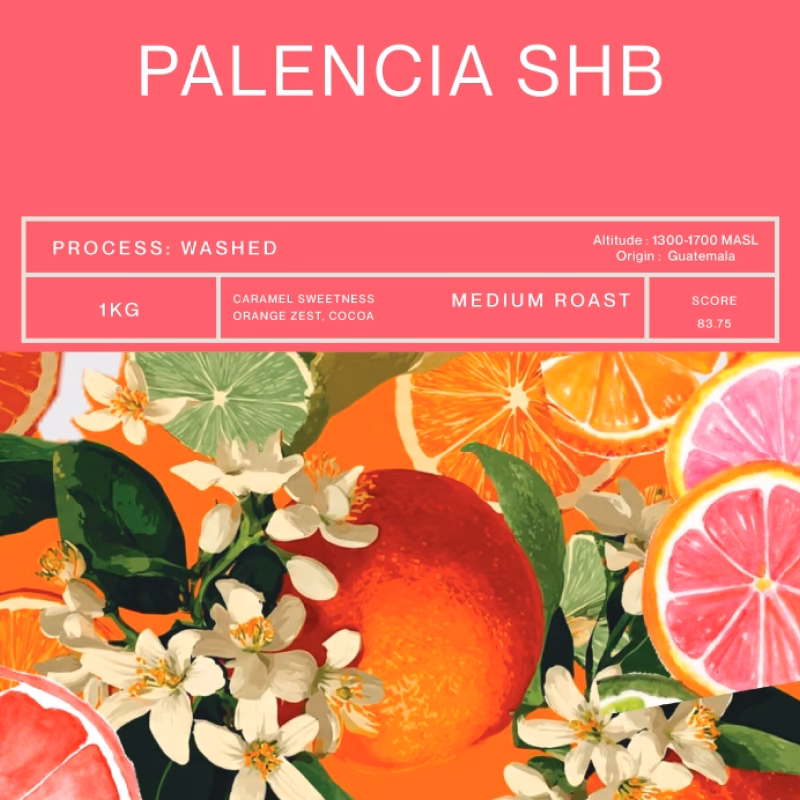 Palencia SHB
