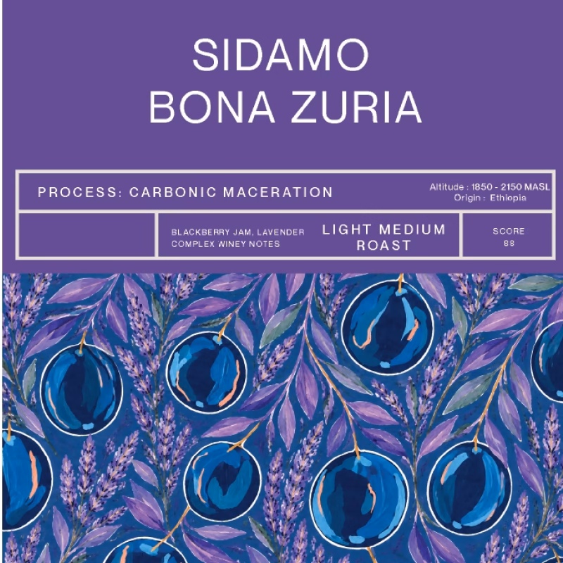 Sidamo Bona Zuria