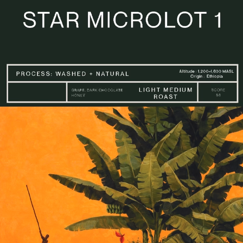 Star Microlot 1