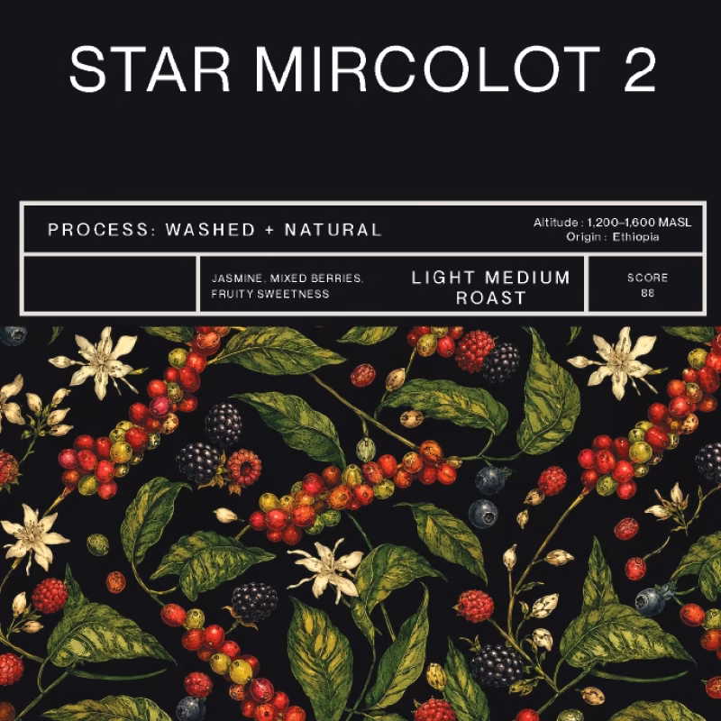 Star Microlot 2