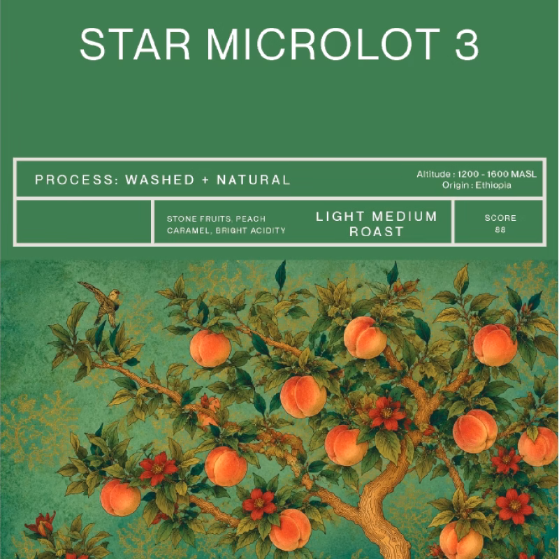 Star Microlot 3